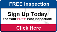 Sign up today for your free pest inspection