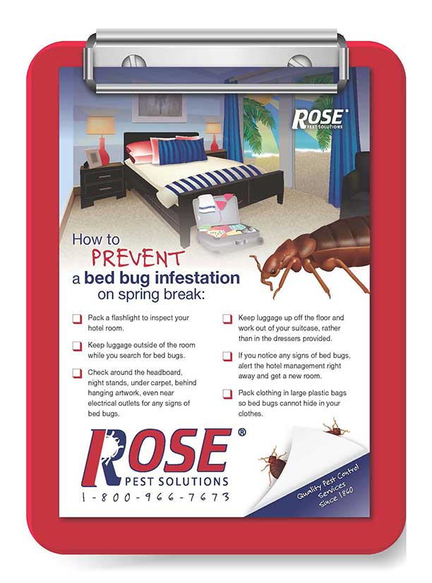 travel checklist to help prevent bringing bed bugs home