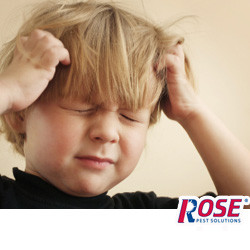 kid in a michigan school with lice