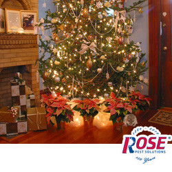 Don't Let Mice And Other Pests Spoil Your Christmas Christmas Tree With Presents And A Mouse