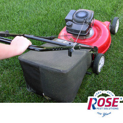 Keeping a well-maintained lawn can reduce your chances of encountering ticks