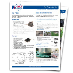 Rat Prevention Tips Discourage Rodents Make Sure Your Property Is Rat Free With Rose's Rat Prevention Tips