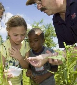 Rose Entomologist Mark Sheperdigian looks at bugs with YMCA day campers