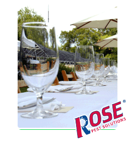 Don't let mosquitoes crash your party! outdoor event that could be ruined by mosquitoes in michigan