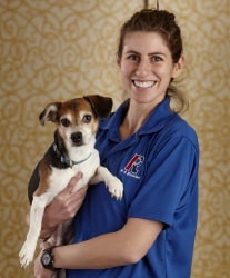 Sam and Vernor - Detroit Michigan Canine Bed Bug Team
