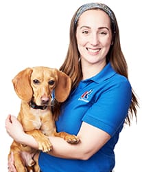 Kelsey and Archer Rose Michigan Canine Bed Bug Team