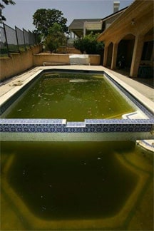 Dirty, standing water in abandoned swimming pools is an especially good breeding ground for the pesky insects. (David McNew / Getty Images)