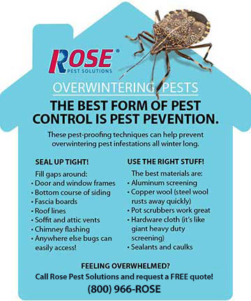 Flying Insect Control And Prevention In Pasco